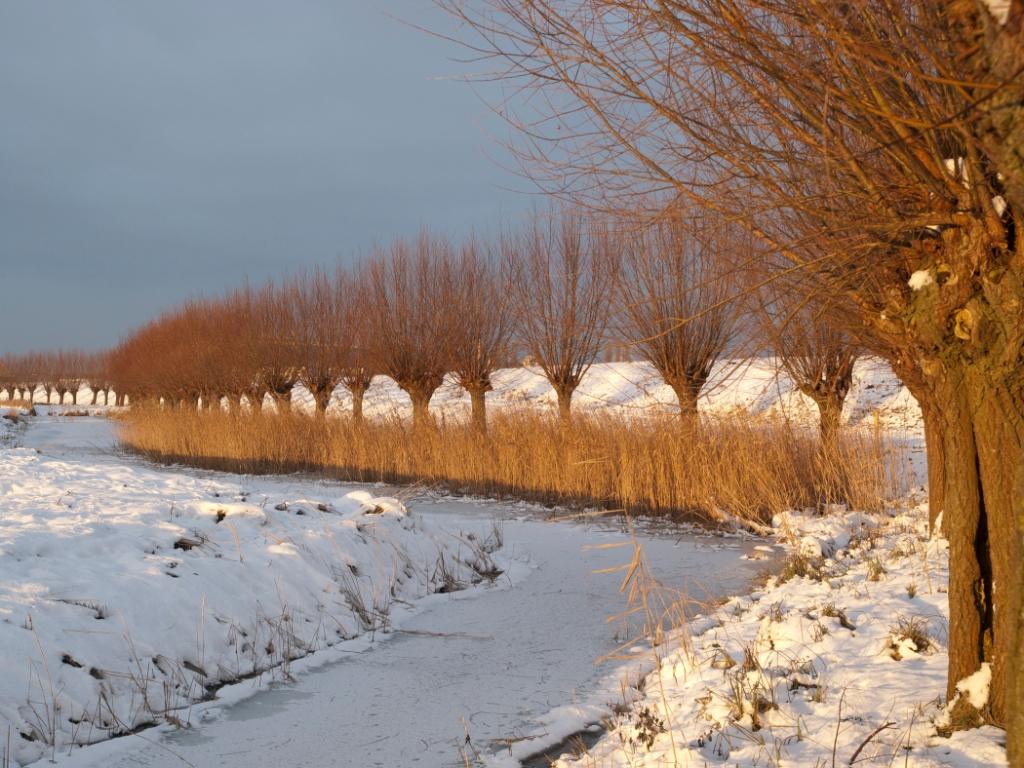 Groot Koninkrijk in de winter