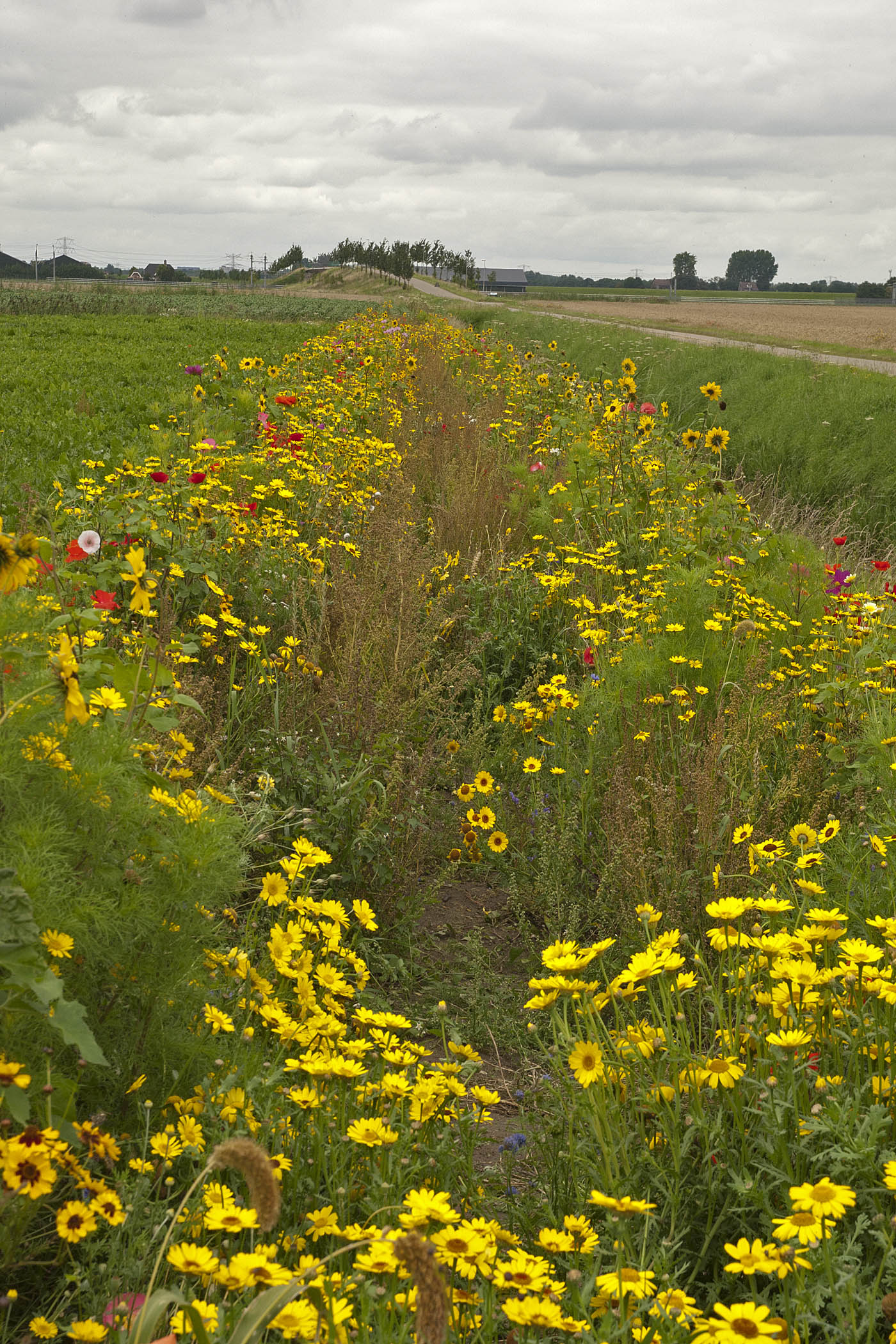 Beleidsbe�nvloeding